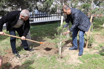 FHN Ümummilli Liderin anadan olmasının 102-ci ildönümü münasibətilə ağacəkmə aksiyası keçirib